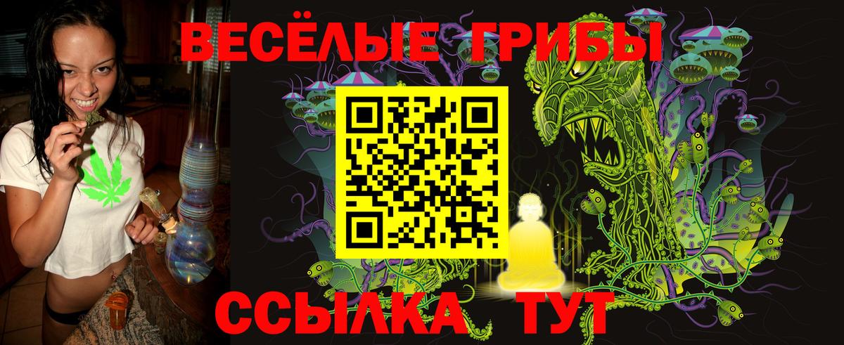 Псилоцибиновые грибы мухоморы Железноводск